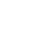 2C Audit